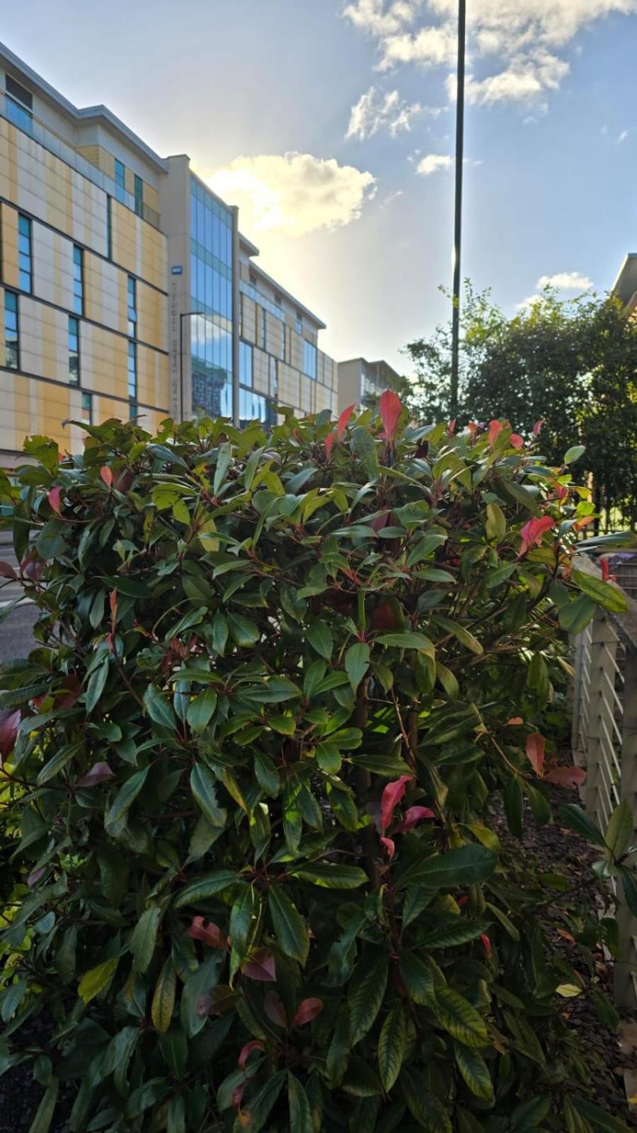 Luxury Green 1 Bed City Centre Apartment Close To Mailbox,Bullring, Broad Street For Leisure And Families Birmingham Esterno foto